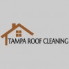 Tampa Roof Cleaning